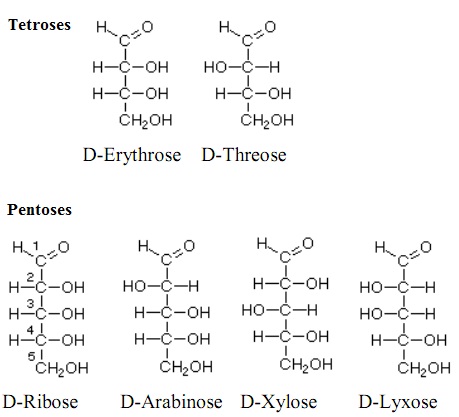 Structures Of Monosaccharides Chemistry Tutorial